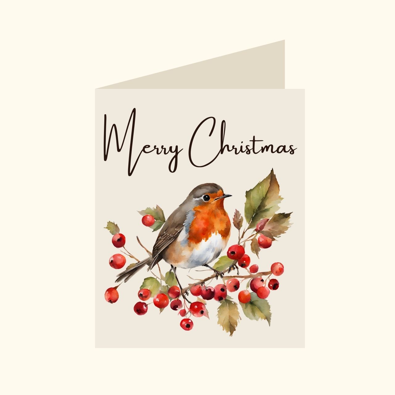 Merry Christmas Robin