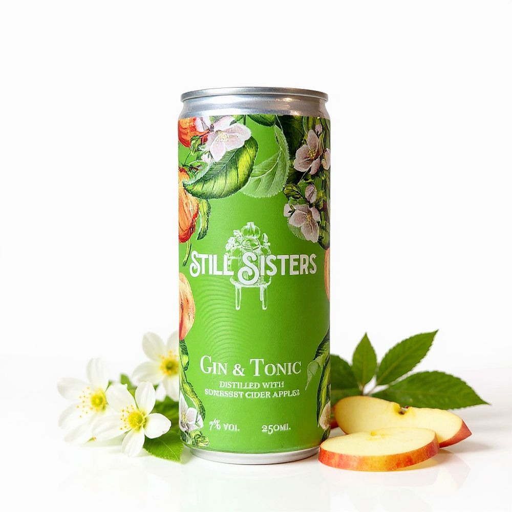 Somerset Cider Apple Gin & Tonic 250ml