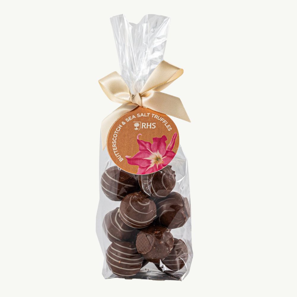 Butterscotch & Sea Salt Truffles 135g