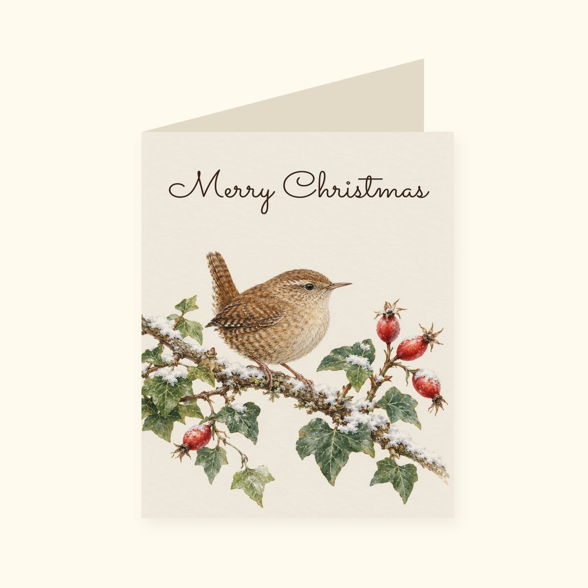 Christmas Wren