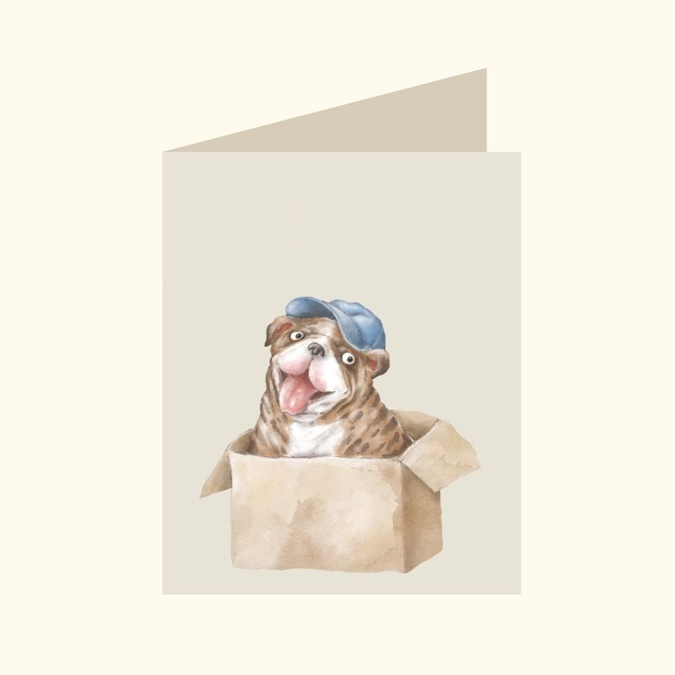 Watercolour Dog In Box