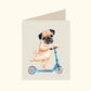 Pug Scooter